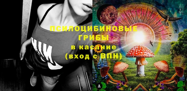 спиды Алексин